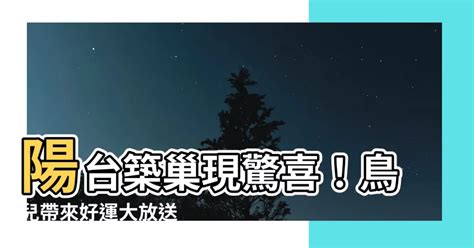 麻雀築巢好運|【麻雀築巢】麻雀築巢藏吉兆？劉伯温揭「麻雀屋」背後深意！